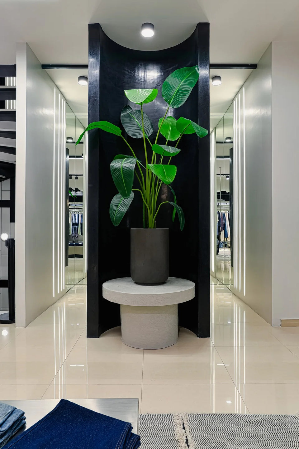 Διάδρομος με φυτό στο κατάστημα ELLIZ CLOSET